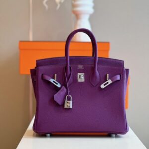 Hermes Birkin 25 Dark Purple Togo Leather Palladium Hardware