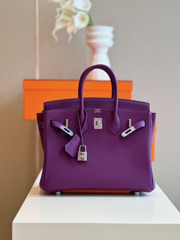 Hermes Birkin 25 Dark Purple Togo Leather Palladium Hardware