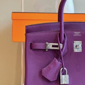 Hermes Birkin 25 Dark Purple Togo Leather Palladium Hardware