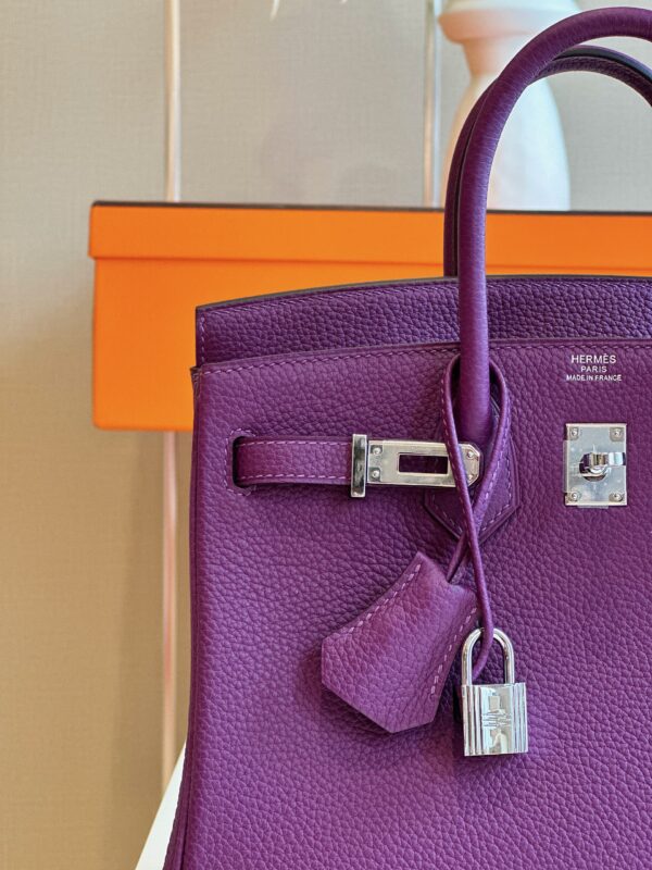 Hermes Birkin 25 Dark Purple Togo Leather Palladium Hardware