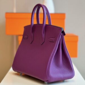 Hermes Birkin 25 Dark Purple Togo Leather Palladium Hardware