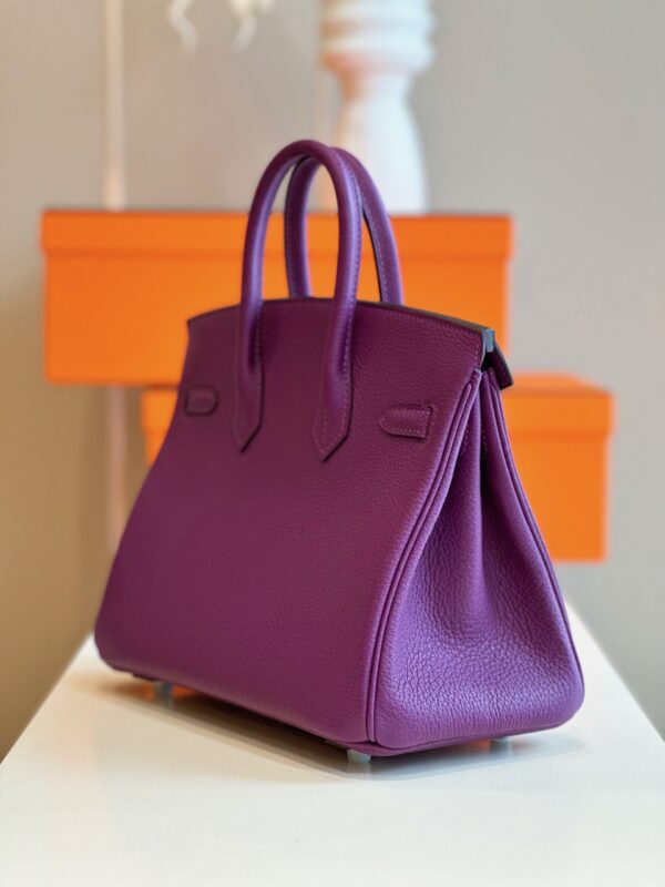 Hermes Birkin 25 Dark Purple Togo Leather Palladium Hardware