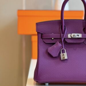 Hermes Birkin 25 Dark Purple Togo Leather Palladium Hardware