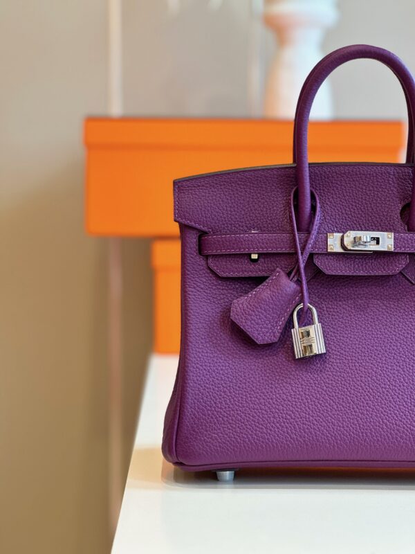 Hermes Birkin 25 Dark Purple Togo Leather Palladium Hardware