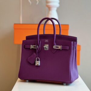 Hermes Birkin 25 Dark Purple Togo Leather Palladium Hardware