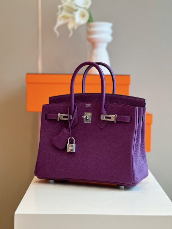 Hermes Birkin 25 Dark Purple Togo Leather Palladium Hardware