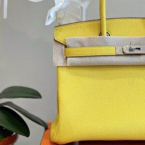 Hermes Birkin 30 Amber Yellow Palladium Hardware