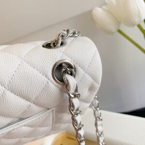 Chanel Classic Handbags Lizard Skin White With Silver Lock 25cm