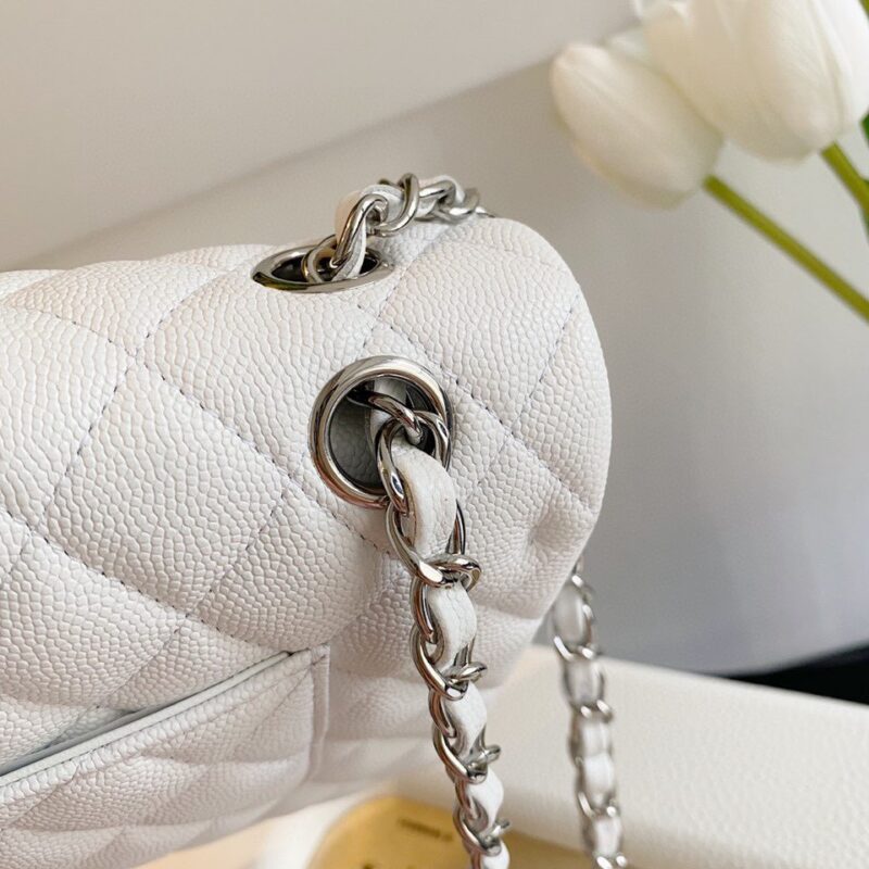 Chanel Classic Handbags Lizard Skin White With Silver Lock 25cm