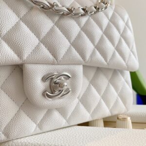 Chanel Classic Handbags Lizard Skin White With Silver Lock 25cm