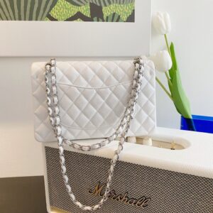 Chanel Classic Handbags Lizard Skin White With Silver Lock 25cm