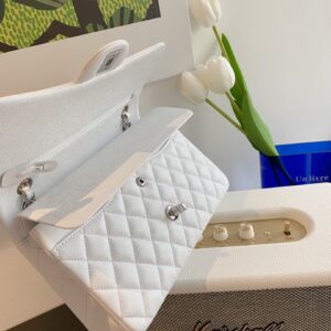 Chanel Classic Handbags Lizard Skin White With Silver Lock 25cm