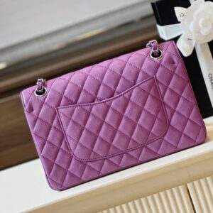 Chanel Classic Handbags Woman’s Purple Lock Silver 25cm