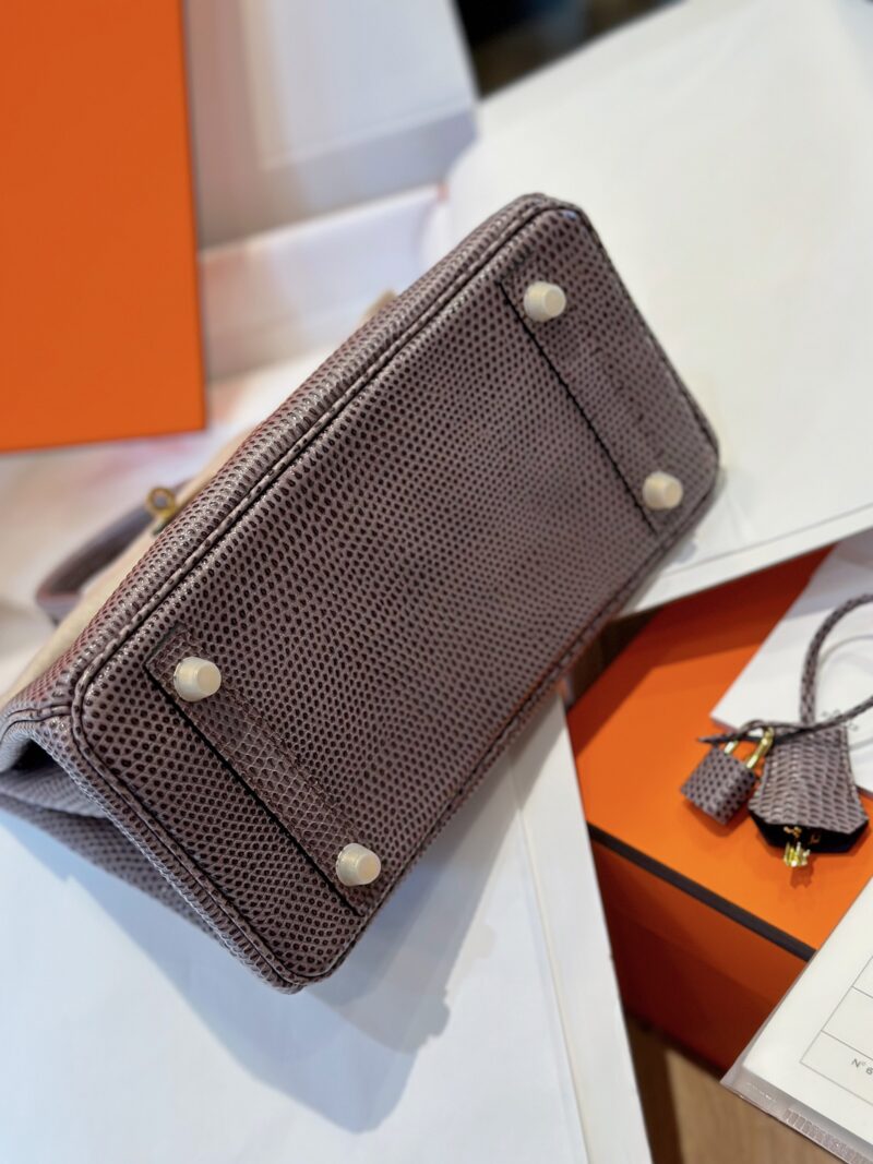 Hermes Birkin 25 Tris Fonce Genuine Lizard Leather Gold Hardware