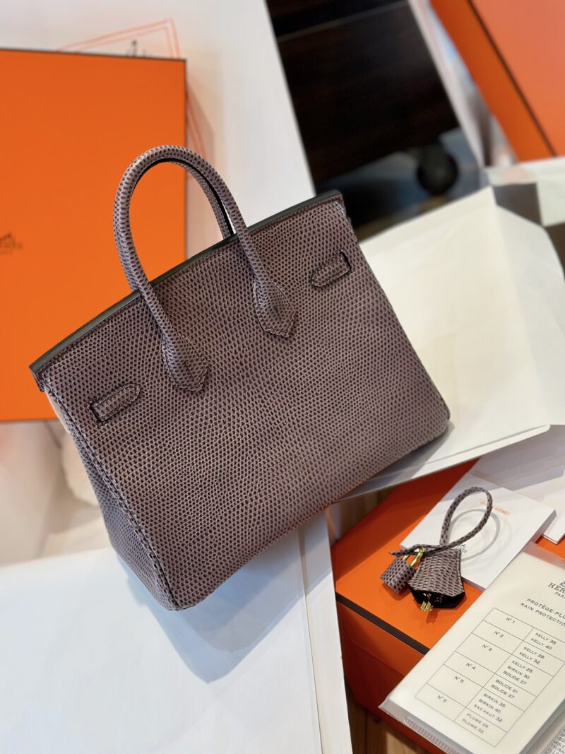 Hermes Birkin 25 Tris Fonce Genuine Lizard Leather Gold Hardware