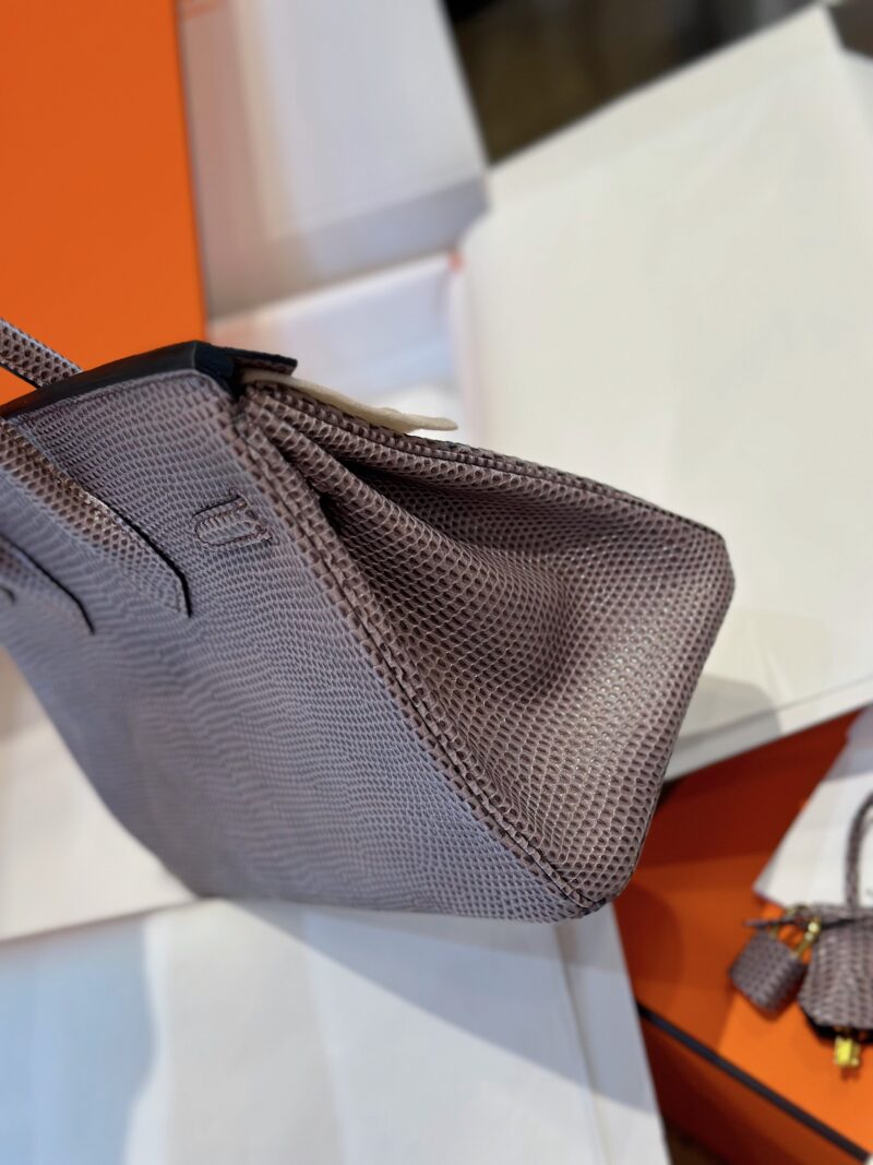 Hermes Birkin 25 Tris Fonce Genuine Lizard Leather Gold Hardware