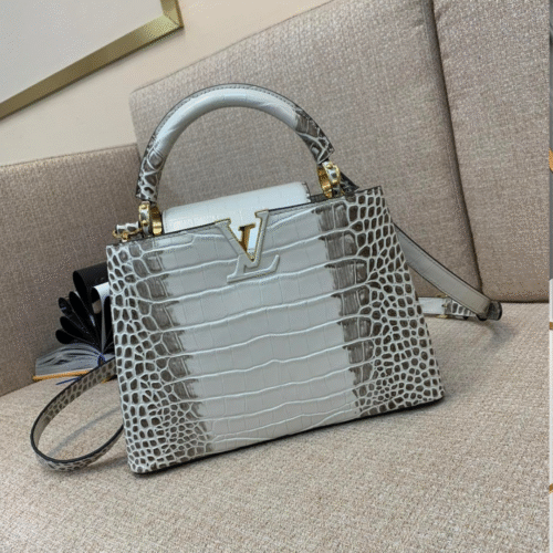 Untitled-design-2025-05-27T065353.308 Louis Vuitton LV Capucines BB Grey Crocodile Leather Like Auth Handbags 27cm