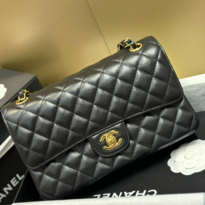 Untitled-design-2025-05-29T025032.880 Chanel Classic Crocodile Skin Like Auth Black Full Box With Lock Silver 25cm