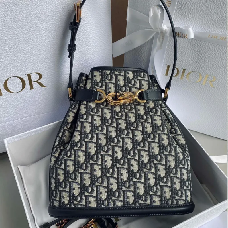 Dior Cest Canvas Backpack Super Embroidered Pattern Black 24x10x24.5cm