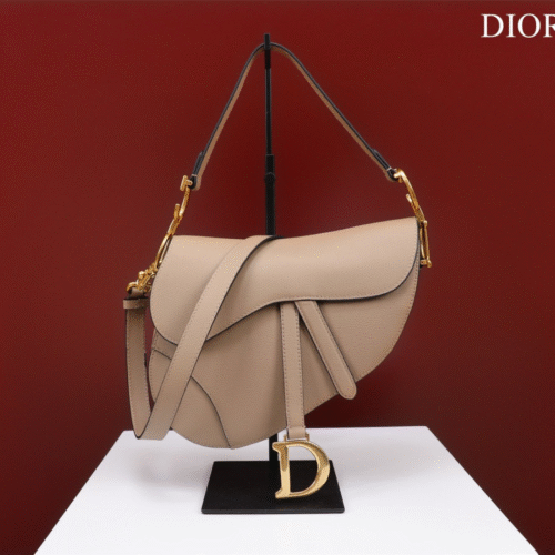 Untitled-design-2025-05-30T030528.197 Dior Saddle Saddle Women’s Handbag 25x20x6.5cm