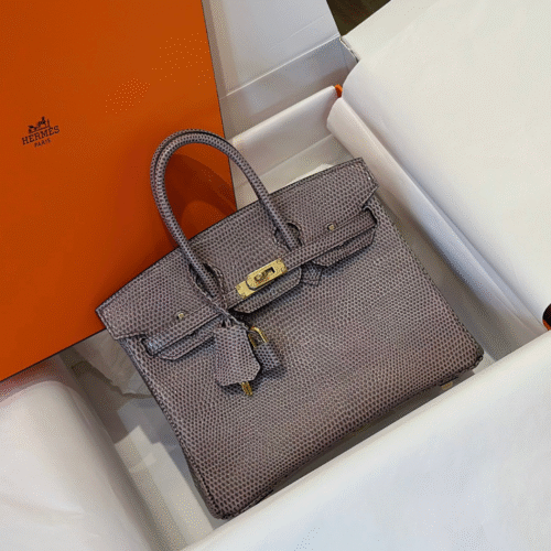 Untitled-design-2025-05-30T172903.827 Hermes Birkin 25 Tris Fonce Genuine Lizard Leather Gold Hardware