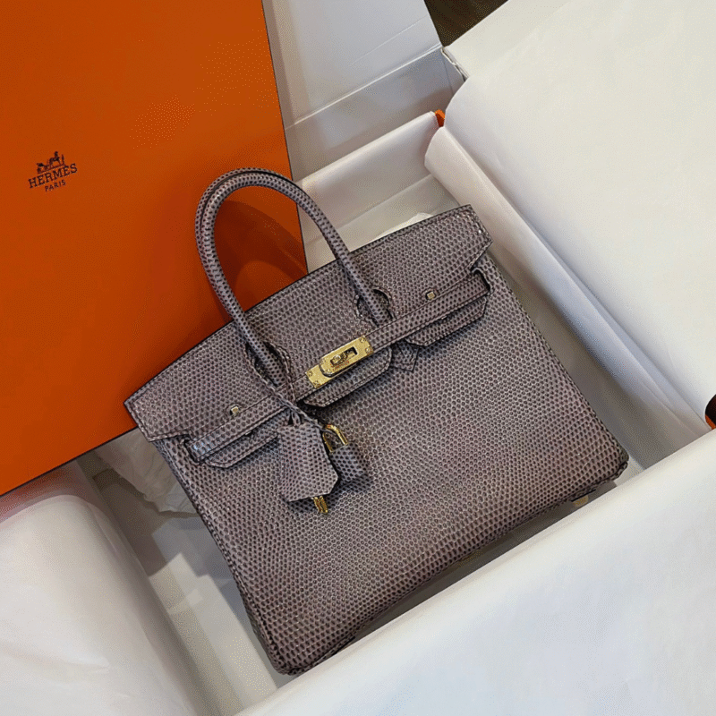 Hermes Birkin 25 Tris Fonce Genuine Lizard Leather Gold Hardware