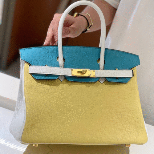 Untitled-design-2025-05-30T204908.917 Hermès Lime, Bleu de Galice and Gris Perle Chèvre Tri-Color HSS Birkin 25 Brushed Gold Hardware
