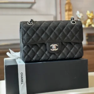 Chanel Classic 11 Handbags Woman’s Black Leather Lock Silver 23cm