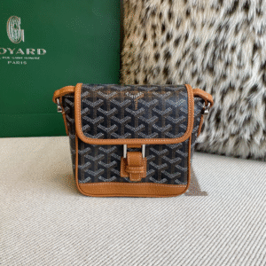 Untitled-design-2025-07-18T083507.190 Goyard Green Goyardine Canvas & Chevroches Calfskin Saint Louis PM Tote