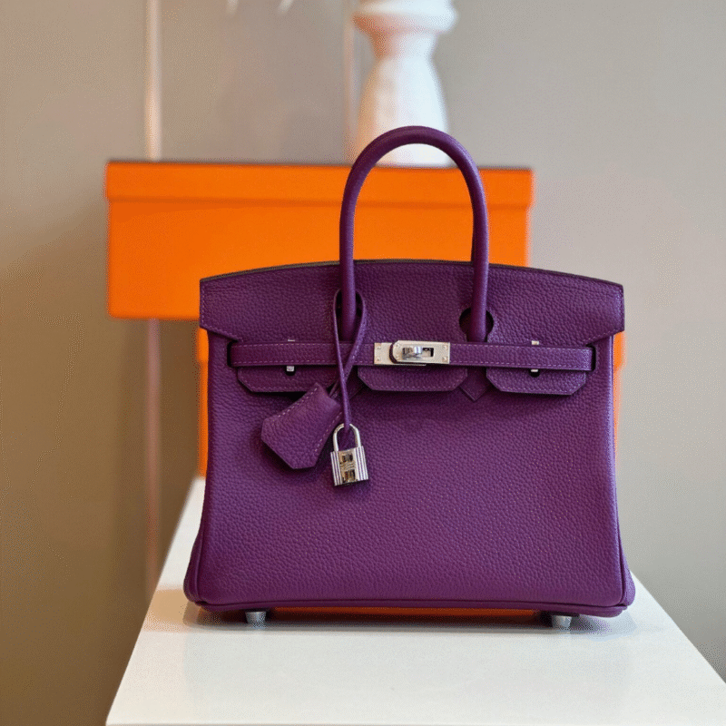 Hermes Birkin 25 Dark Purple Togo Leather Palladium Hardware