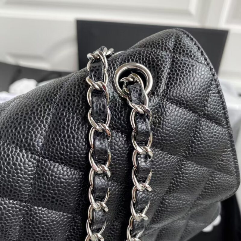 Chanel Classic Handbag Black With Silver Lock 25cm