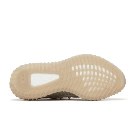 adidas Yeezy Boost 350 V2