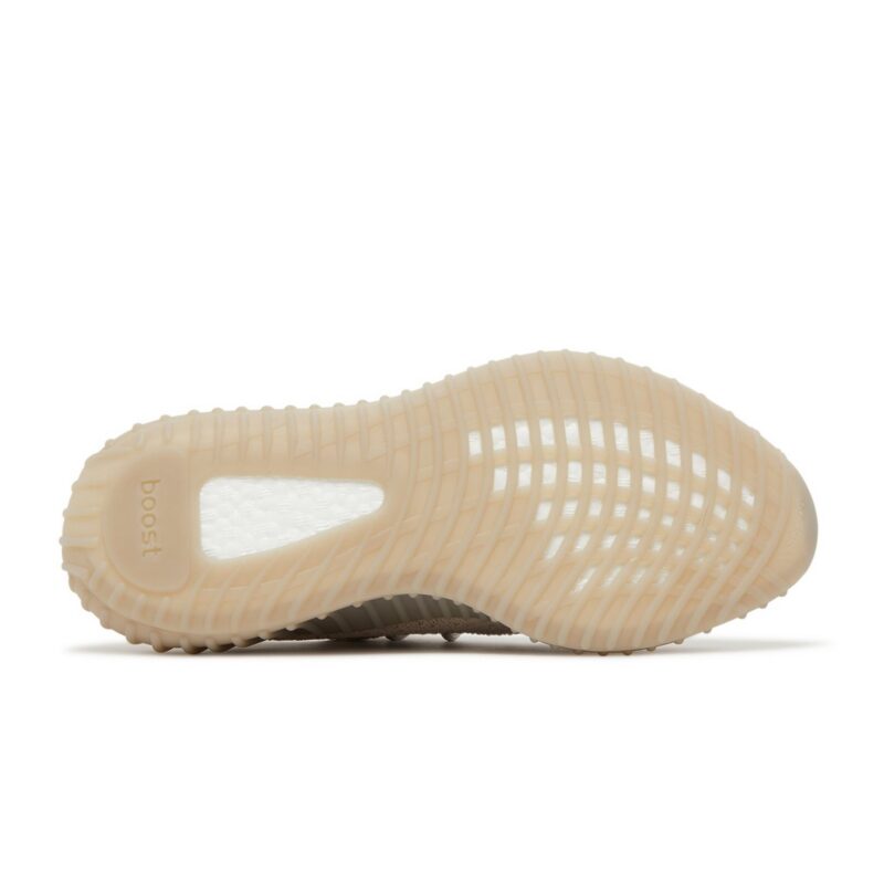 adidas Yeezy Boost 350 V2