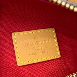 LV Nano Speedy Monogram Handbag