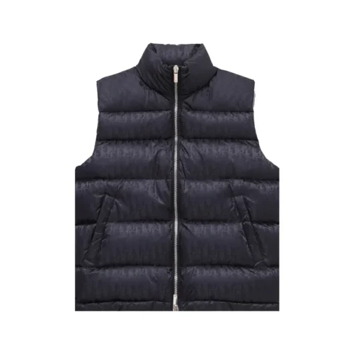 src_0-161 Replica Dior Limited Edition Down Vest Black Classic Reps - RepLuxe