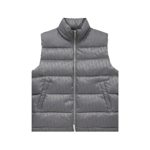src_0-173 Replica Dior Limited Edition Down Vest Grey Classic Reps - RepLuxe