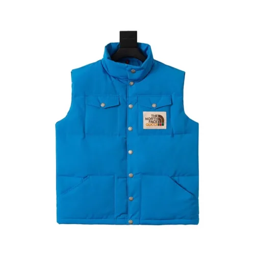 src_0-267 Replica THE NORTH FACE GUCCI Down Vest Blue Reps - RepLuxe