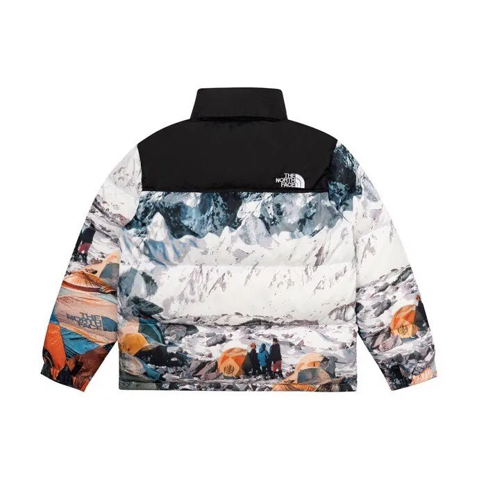 Replica The North Face Base Camp Down Jacket Multicolor Reps - RepLuxe