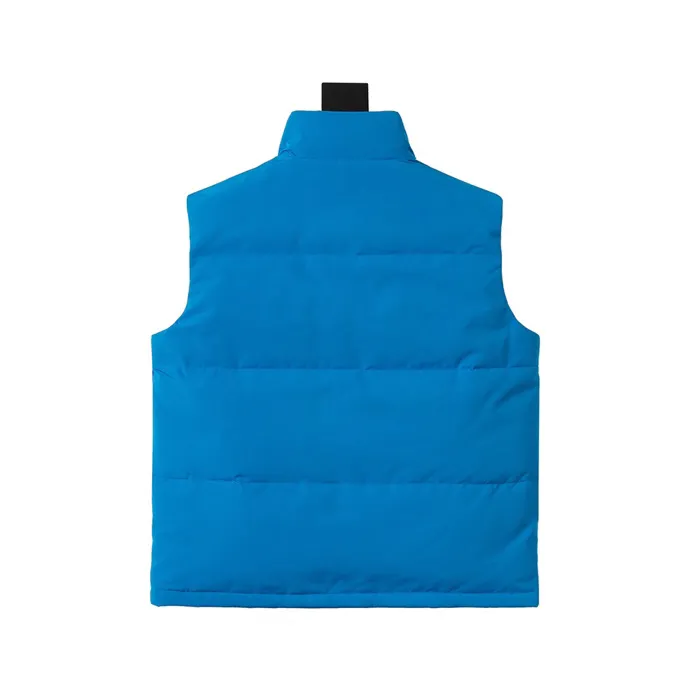 Replica THE NORTH FACE GUCCI Down Vest Blue Reps - RepLuxe