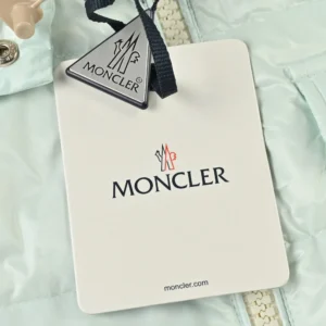 Replica Moncler Andro Short Hooded Puffer Light Blue Reps - RepLuxe