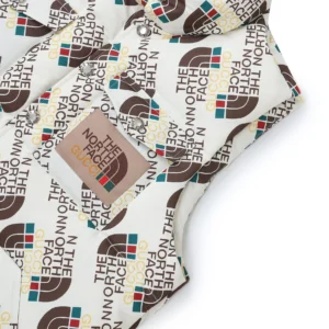 Replica THE NORTH FACE x GUCCI Down Vest White Reps - RepLuxe