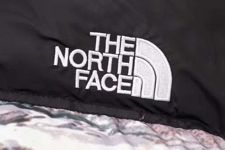 Replica The North Face Base Camp Down Jacket Multicolor Reps - RepLuxe