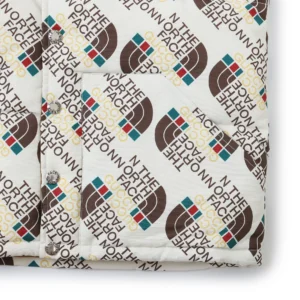 Replica THE NORTH FACE x GUCCI Down Vest White Reps - RepLuxe