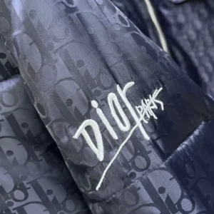 Replica Dior Winter Down Jacket Blue Monogram Puffer Reps - RepLuxe