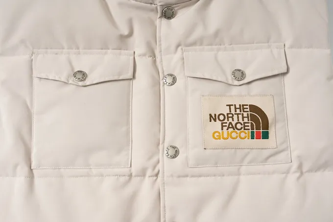 Replica THE NORTH FACE x GUCCI Down Vest Beige Reps - RepLuxe