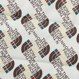 Replica THE NORTH FACE x GUCCI Down Vest White Reps - RepLuxe