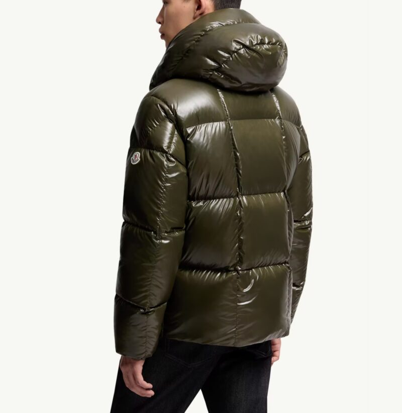 Replica Moncler Parana Short Down Jacket With Hood