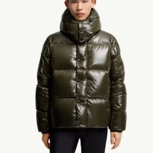 Replica Moncler Parana Short Down Jacket With Hood