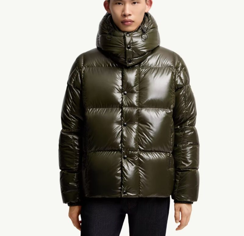 Replica Moncler Parana Short Down Jacket With Hood