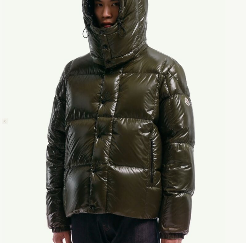 Replica Moncler Parana Short Down Jacket With Hood